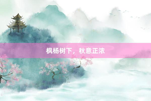 枫杨树下，秋意正浓