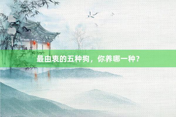 最由衷的五种狗，你养哪一种？
